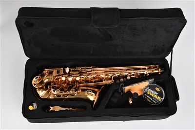 Alto Saxophone Case