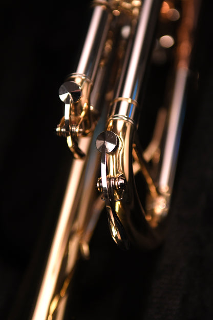 Herche Superior Trumpet M1